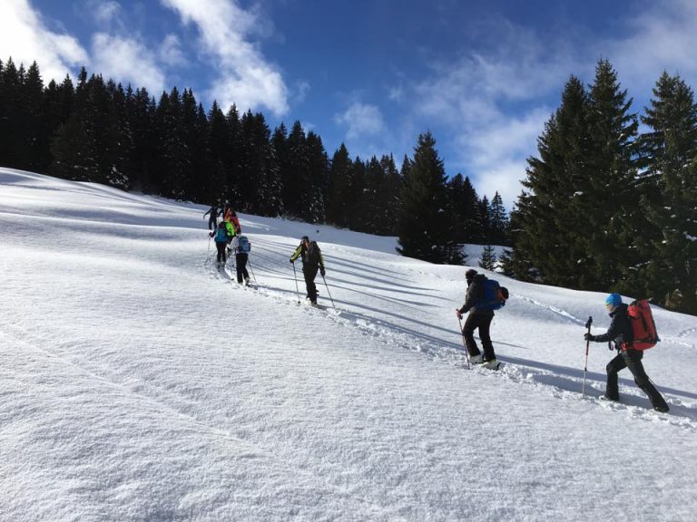 Initiation ski de randonnée (journée)